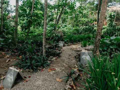 Natura Cabana Boutique Hotel & SPA by Mint