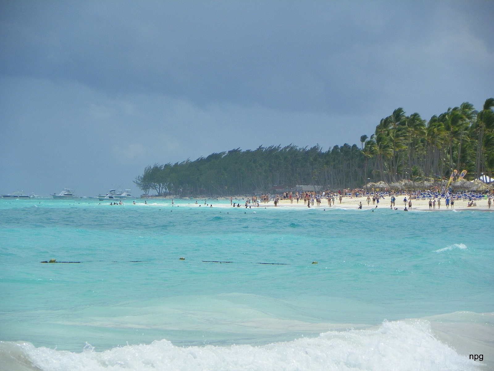 Turquoise shallows and a palm-lined shore at Playa Bávaro, Punta Cana, with swimmers in the water